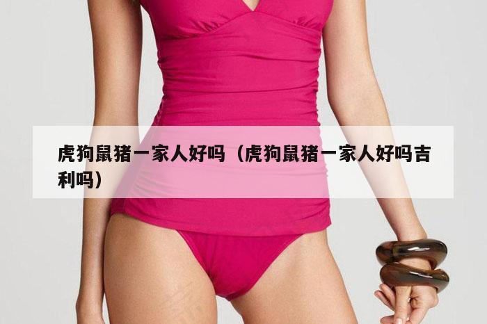 虎狗鼠猪一家人好吗（虎狗鼠猪一家人好吗吉利吗）